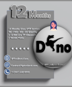 12 Months Dino IPTV Subscription